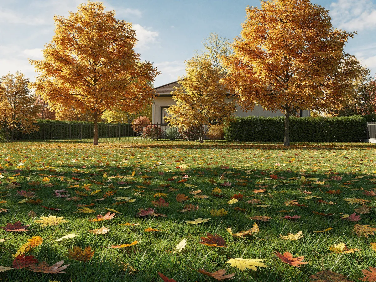 fall landscaping